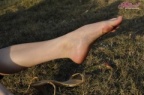 DSC 6195